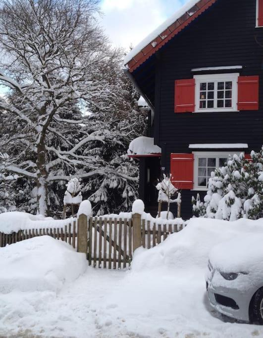 Villa Herzog - Ferienhaus Fuer 6 Personen In Braunlage, Harz Екстериор снимка